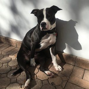 Meet your Posher, Beatriz